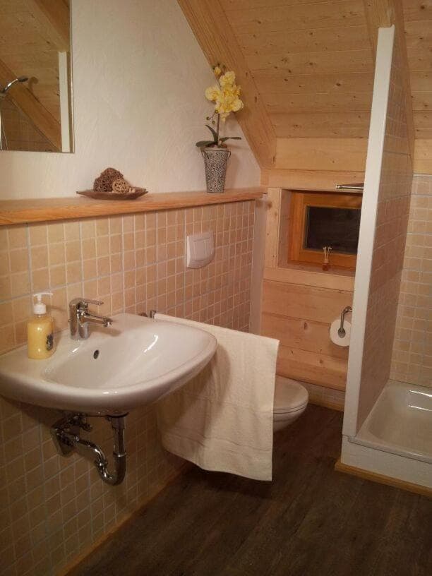 Apartment mit 2 Schlafzimmern und Balkon - 5